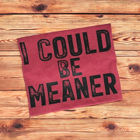I COULD BE MEANER GILDAN TEE