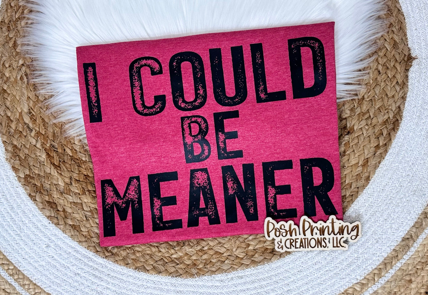 I COULD BE MEANER GILDAN TEE