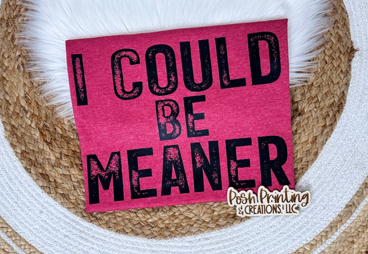 I COULD BE MEANER GILDAN TEE